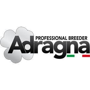 Adragna Professional Breeder
